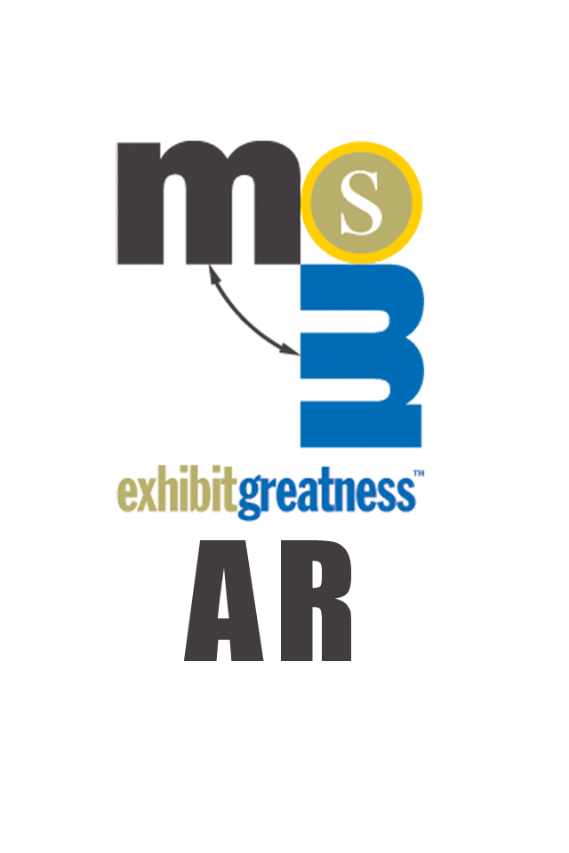 MSM AR